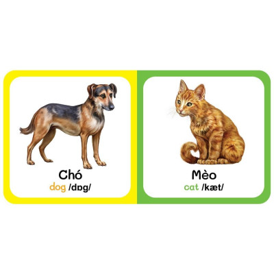 Sách - Từ Điển Bằng Hình Đầu Tiên Của Bé Từ 0-6 tuổi - Song Ngữ Anh Việt - Việt Thư