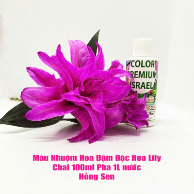 Thuốc Nước Nhuộm Hoa Lily (chai đậm đặc 100ml pha 1L nước màu hoàn chỉnh) công nghệ Israel nhuộm hoa lily cánh mỏng mà không bị cháy lá hoa