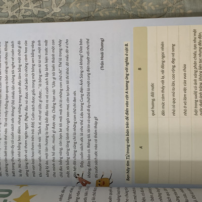 Sách - Chinh phục tiếng việt 4 ( dùng chung cho 3 bộ sgk hiện hành ) (dương hằng)