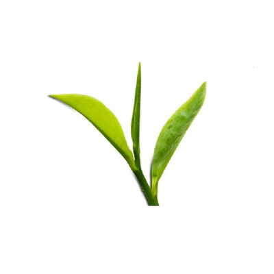 Combo 02 hộp trà tân cương long đình 100 gram 