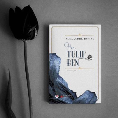 Hoa Tuylip Đen