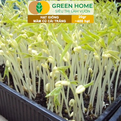 Hạt Giống Rau Cải Mầm Greenhome, Gói 20g~400 hạt, Dễ Trồng Quanh Năm, Nảy Mầm Cao, Thu Hoạch Nhanh, Năng Suất Cao R10