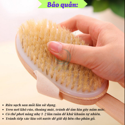 Bàn chải tắm cán dài bằng gỗ tự nhiên - Bàn chải massage cơ thể cao cấp - Cọ tắm khô & ướt cán dài tiện lợi - Bàn chải chà lưng chống tế bào chết - Bàn chải tắm toàn thân spa tại nhà