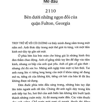 Ca Trực - Silo Tháp Giống #2
