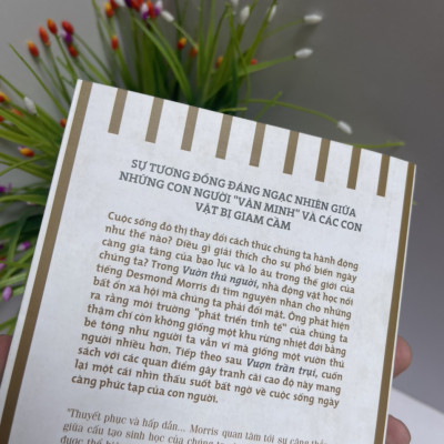 (Combo 2 cuốn Desmond Morris) VƯỢN TRẦN TRỤI và VƯỜN THÚ NGƯỜI – Vương Ngân Hà dịch – Nhã Nam (Bìa mềm)