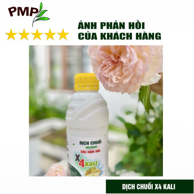 Dịch Chuối Humic X4 PMP Đậm Đặc Gấp 4 Lần - Cho hoa hồng, Hoa lan, Cây cảnh, Rau sạch 1000ml
