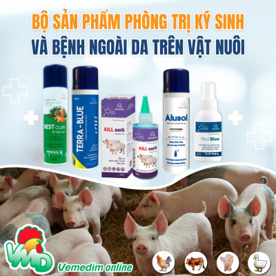 AMOXI 20% LA Thuốc tiêm đặc trị viêm phổi, viêm vú, viêm tử cung, tiết niệu, tác động kéo dài 48h dùng cho chó, mèo, Chai 100ml, sản phẩm Vemedim