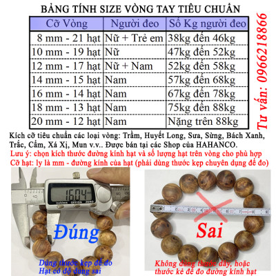 Vòng tay sừng đuôi lục hạt phong thủy (Đủ Size & màu) BH610 -  Đem lại may mắn - hút tài lộc - Bracelet of HAHANCO