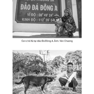 Sách - Kể Chuyện Biển Đảo - Một Chuyến Du Hành Ra Trường Sa Và Nhà Giàn DK1