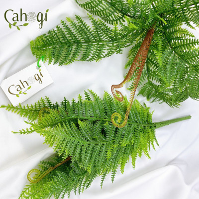 Cây dương xỉ giả giống thật 99% – Đường kính 40 đến 50 cm – Cây dương sỉ giả, hoa lụa decor trang trí rẻ, bền, đẹp.