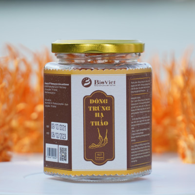 Đông trùng hạ thảo khô sấy thăng hoa BIOVIET [CHÍNH HÃNG] chất lượng cao