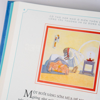 Sách - Cô thỏ xám nhỏ ở miền thôn dã trọn bộ 2 tập - Đinh Tị Books