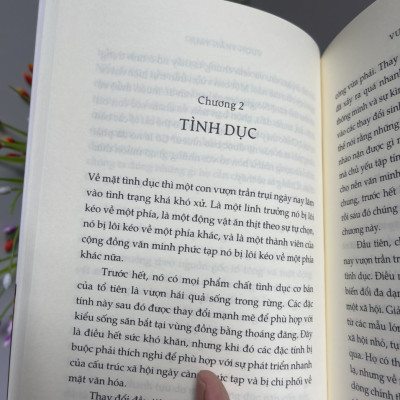 (Combo 2 cuốn Desmond Morris) VƯỢN TRẦN TRỤI và VƯỜN THÚ NGƯỜI – Vương Ngân Hà dịch – Nhã Nam (Bìa mềm)