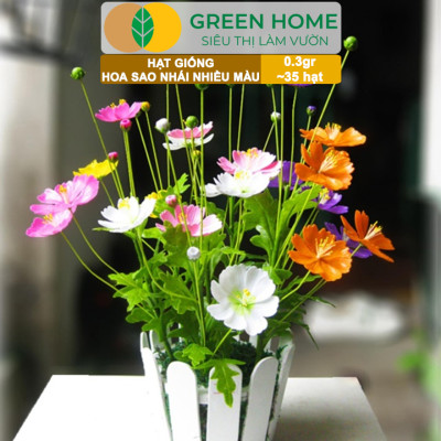 Hạt Giống Hoa Sao Nhái Mix Greenhome, Gói 0,3gr~35 hạt, Sai Hoa, Màu Rực Rỡ, Dễ Trồng Quanh Năm, Nảy Mầm Cao H13