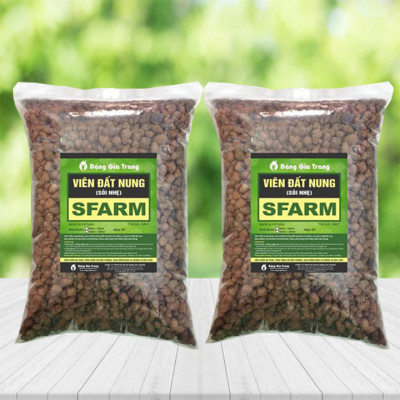 Combo 2 gói viên đất nung (sỏi nhẹ) 5 - 10mm trồng lan, sứ, sen đá, thủy canh Sfarm (5dm3) - Bonsai soil