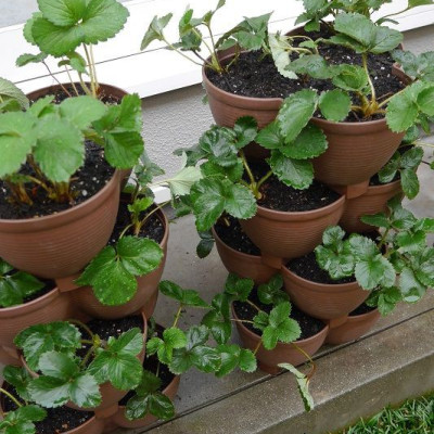 Bộ tháp trồng rau sạch tiện lợi 3 cánh Yamada 4 in 1 hàng Made in Japan 