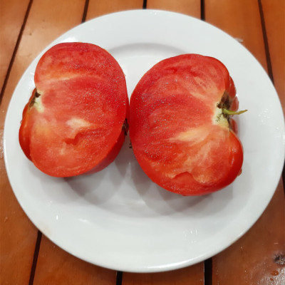 Hạt Giống Cà Chua Không Hạt Hữu Cơ Nhập Khẩu Minigarden (Túi từ 125 Hạt đến 250 hạt) Với Tỷ lệ nảy mầm cao, ít hạt lép