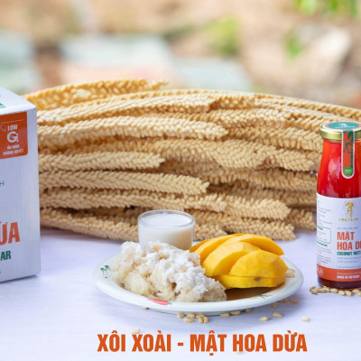 Mật Hoa Dừa SokFarm - Dành cho người Tiểu Đường