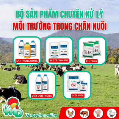 AMOXI 20% LA Thuốc tiêm đặc trị viêm phổi, viêm vú, viêm tử cung, tiết niệu, tác động kéo dài 48h dùng cho chó, mèo, Chai 100ml, sản phẩm Vemedim