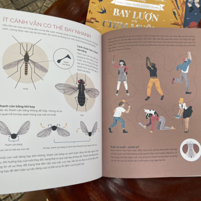 Combo 3 cuốn TUNG CÁNH TRONG KHÔNG TRUNG (Cất cánh cùng côn trùng - Bay lượn với chim muông - Con người chinh phục bầu trời) - Beauty of Science – Keng dịch - NXB Kim Đồng (bìa mềm - in màu toàn bộ)