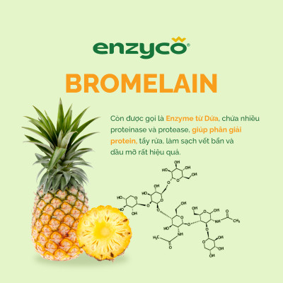 Combo nước rửa bát 465ml và nước giặt sinh học 2L ENZYCO - Chiết xuất Bồ hòn và Enzyme Dứa