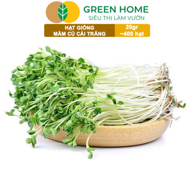 Hạt Giống Rau Cải Mầm Greenhome, Gói 20g~400 hạt, Dễ Trồng Quanh Năm, Nảy Mầm Cao, Thu Hoạch Nhanh, Năng Suất Cao R10