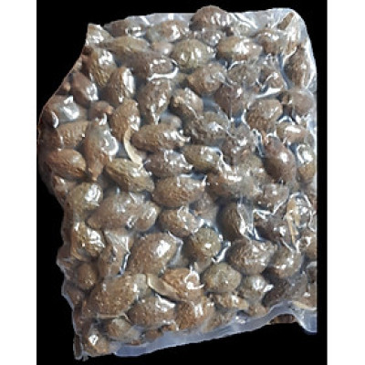 Đặc Sản Kon Tum - Hột đười ươi đều trái nở nhiều - OCOP 3 Sao