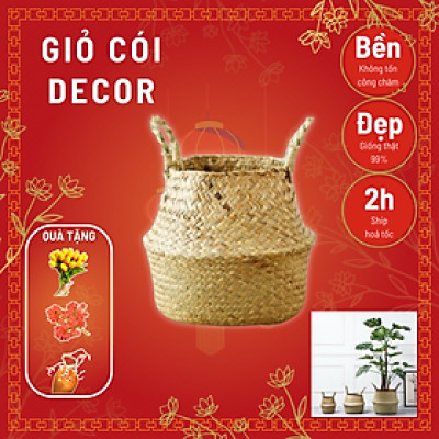 Giỏ cói trồng cây trang trí decor, đựng đồ, cắm hoa - Cây giả, hoa lụa Decor trang trí