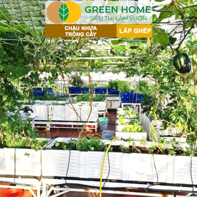 Chậu Trồng Cây Greenhome, Nhựa Nguyên Sinh Lắp Ghép, Nhiều Kích Thước, Trồng Hoa Hồng, Rau, Củ, Quả, Độ Bền 5 Năm