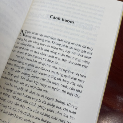 ĐU ĐƯA TRÊN NGỌN CÂY BÀNG – Giải Thiếu nhi Dế mèn 2022 – Nguyễn Hoàng Diệu Thủy - Nhã Nam