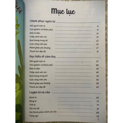 Sách - Chinh phục tiếng việt 4