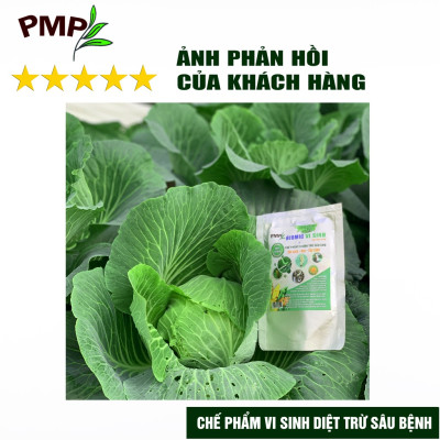 Combo Biomic Vi Sinh & Neem Oil Green Neem Nguyên Chất Cho Hoa Hồng, Rau Sạch, Cây Cảnh