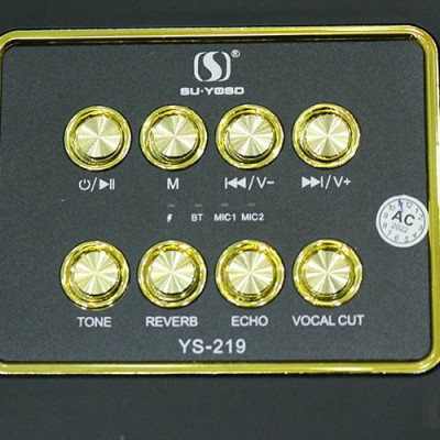 Loa Bluetooth Karaoke  Sothing YS-219 Kèm 2 Micro Có Quai Xách Du Lịch- Hàng chính hãng