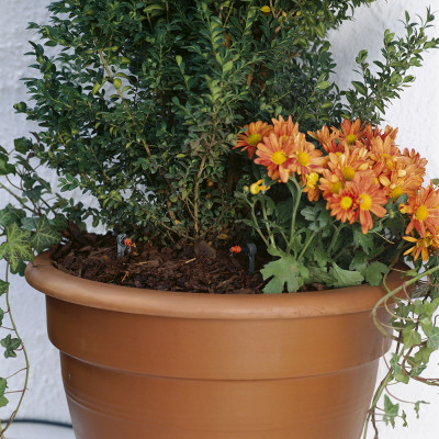 Bộ 25 đầu tưới nhỏ giọt 2 lít/h Gardena