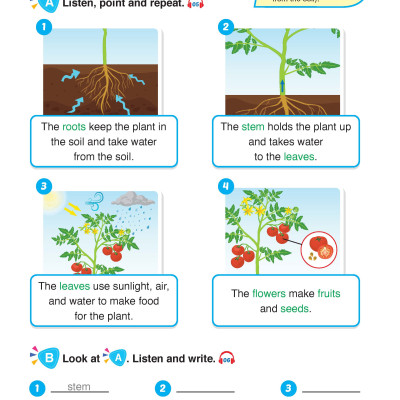 i-Learn English for Science 3 Student