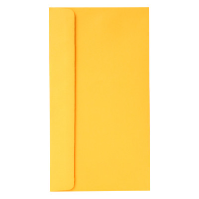 Xấp 10 Bao Thư Digno Giấy Grap Tmg-8644 (12 x 22 cm) - Màu Ngẫu Nhiên