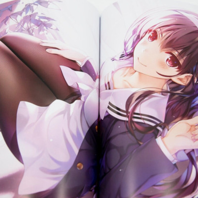 Kurehito Misaki Art Book: Saekano: How To Raise A Boring Girlfriend (Last Volume) Fine. (Japanese Edition)