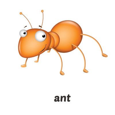 i-Learn My Phonics Grade 1 Flashcards