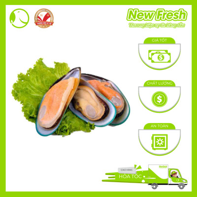 [GIAO NHANH HCM]  Vẹm Xanh Newzealand Kono - Hộp 1Kg
