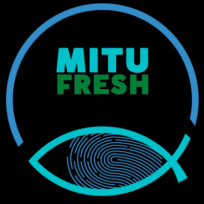 Cá bớp cắt khoanh - 400 grams