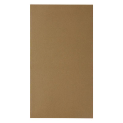 Xấp 10 Bao Thư Digno Giấy Grap Tmg-8644 (12 x 22 cm) - Màu Ngẫu Nhiên