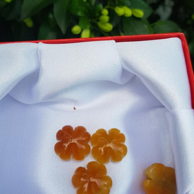 Mặt Bông Hoa cỏ 4 lá màu vàng cam nữ phối vòng tay,làm mặt nhẫn Chất liệu đá cẩm thạch size hạt 14mm x dầy 6mm Nữ về phối với vòng tay của mình đeo hay làm mặt nhẫn mặt dây chuyền đeo xinh ạ
