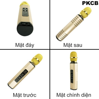 Micro Hát Karaoke Kết Nối Bluetooth Không Dây Âm Thanh Chân Thực Sống Động PKCB - Hàng Chính Hãng