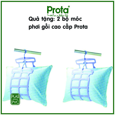 Bộ khung võng xếp inox cao cấp Prota