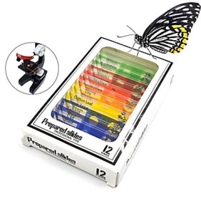 Bộ 12 tiểu bản mẫu vật của động thực vật dùng trên kính hiển vi - Hàng Chính Hãng