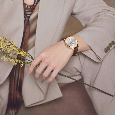 Đồng hồ nam chính hãng IW CARNIVAL IW528G-1 Kính sapphire ,chống xước,Chống nước 30m ,Bảo hành 24 tháng,Máy cơ (Automatic),Dây da cao cấp