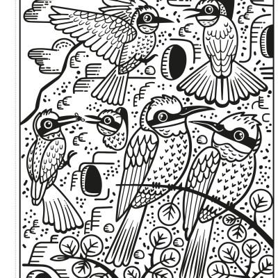 Birds Magic Painting Book