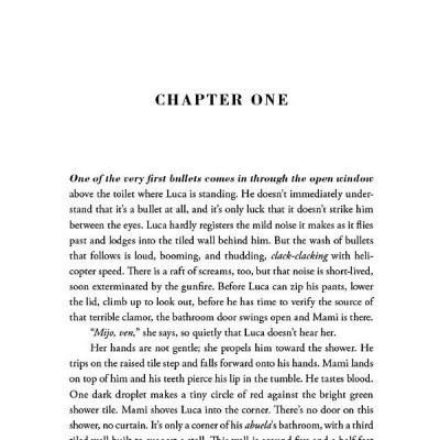 American Dirt: The Heartstopping Read That Will Live With You For Ever