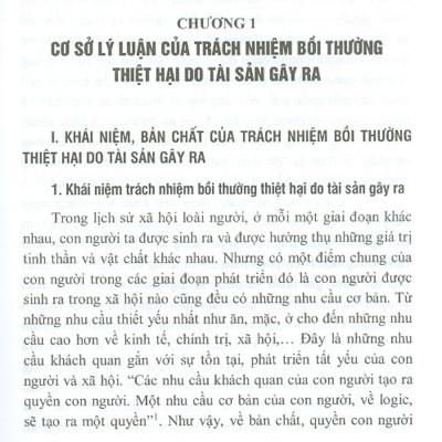 Trách Nhiệm Bồi Thường Thiệt Hại Do Tài Sản Gây Ra (Sách Chuyên Khảo)