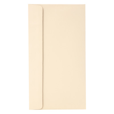 Xấp 10 Bao Thư Digno Giấy Grap Tmg-8613 (12 x 22 cm) - Màu Ngẫu Nhiên